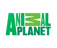 Animal Planet
