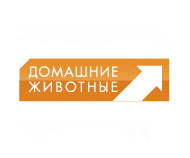 Домашние животные